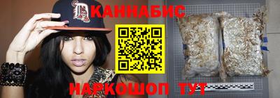 дмт Славгород