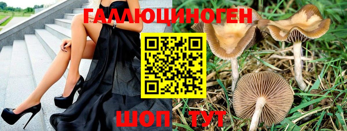 Галлюциногенные грибы прущие грибы Наро-Фоминск